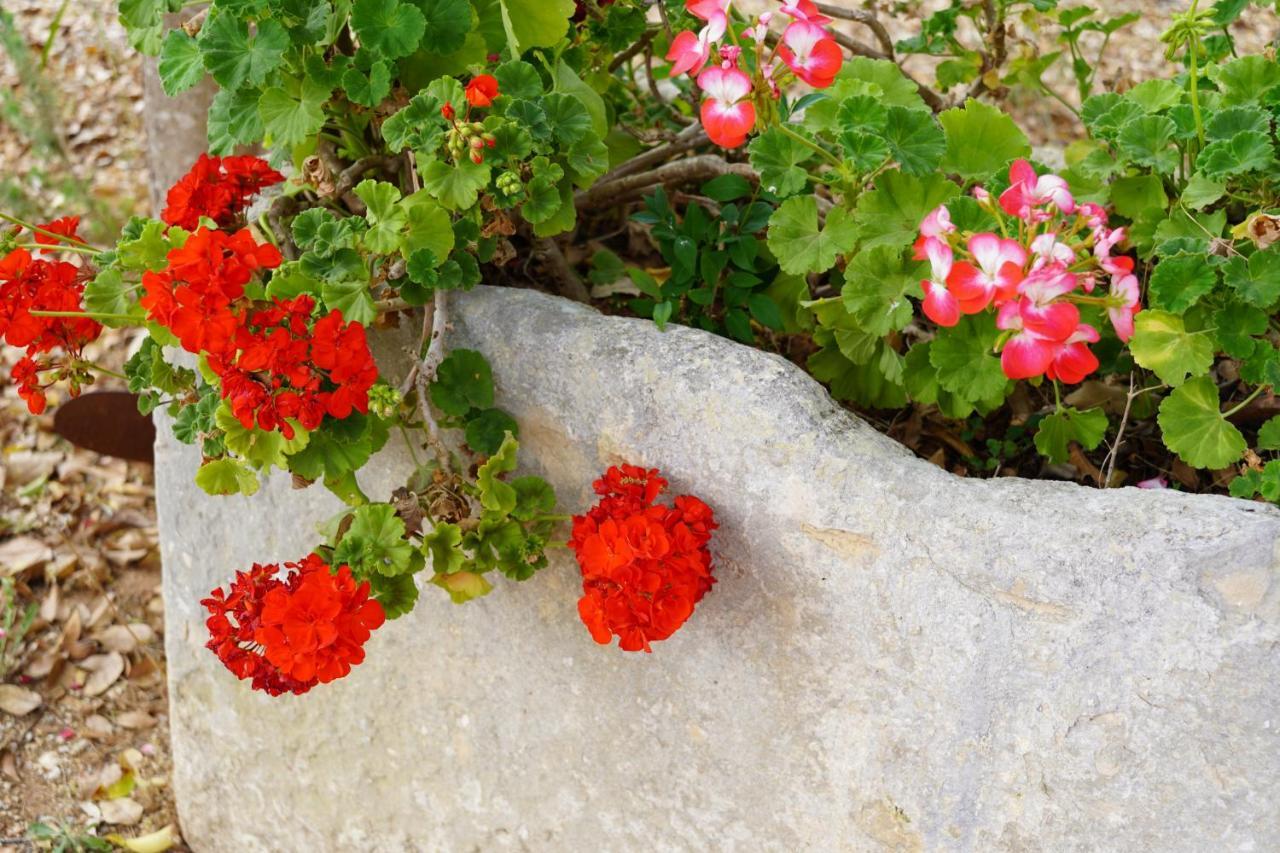 Bed and Breakfast Casina Mozart Lecce Magliano Exterior foto